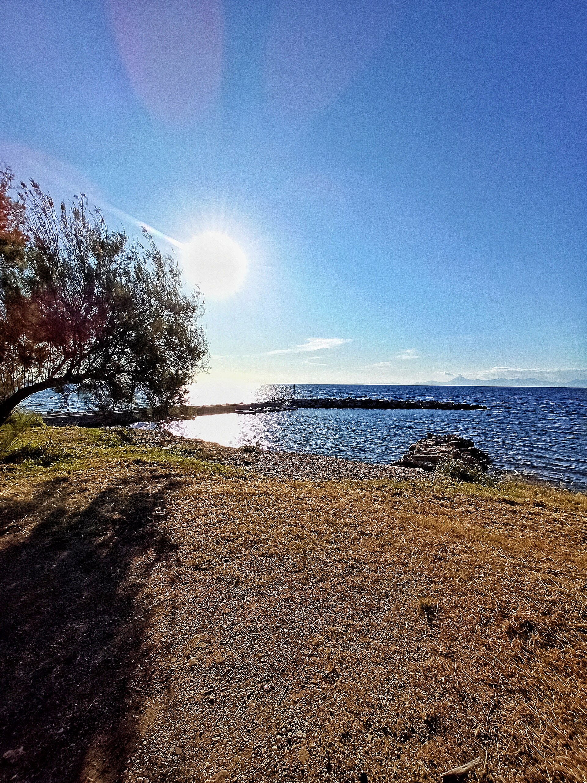 Punta Licosa